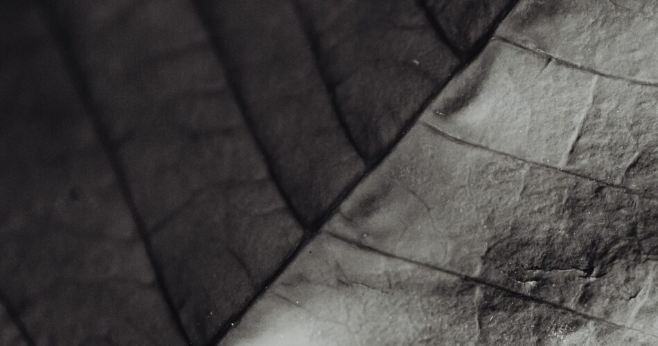 Comment préparer un cake aux fruits durable : une recette facile et rapide pour les fêtes écologiques