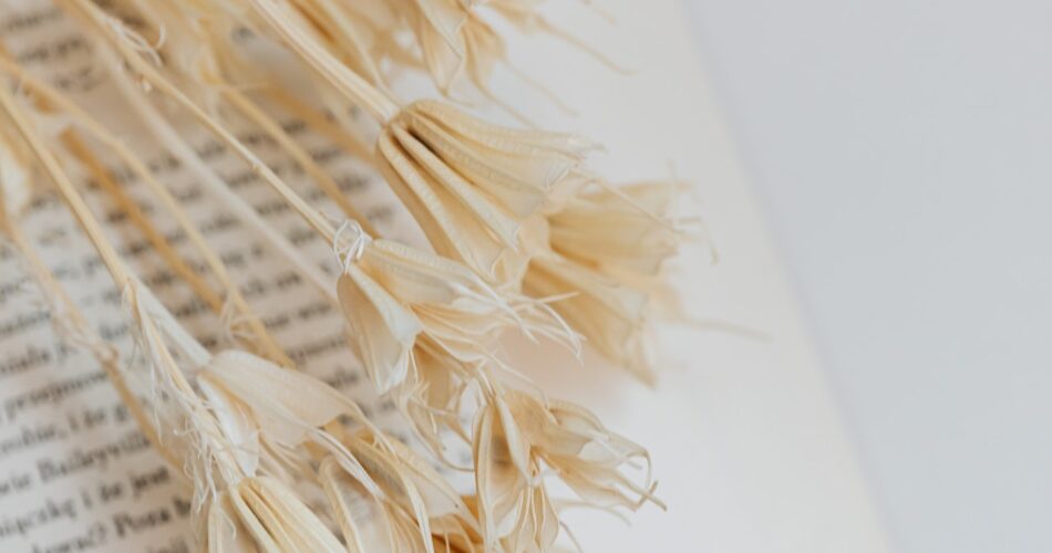 Optimiser l'efficacité énergétique de son logement : les éléments à vérifier